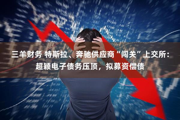 三羊财务 特斯拉、奔驰供应商“闯关”上交所：超颖电子债务压顶，拟募资偿债