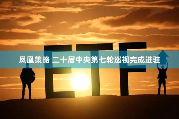 凤凰策略 二十届中央第七轮巡视完成进驻